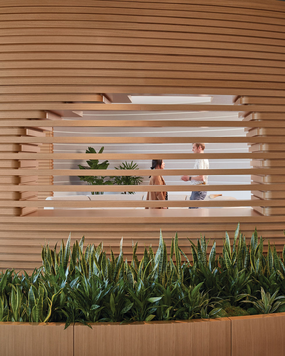 Office meeting viewed through a wooden slat privacy screen and greenery.
